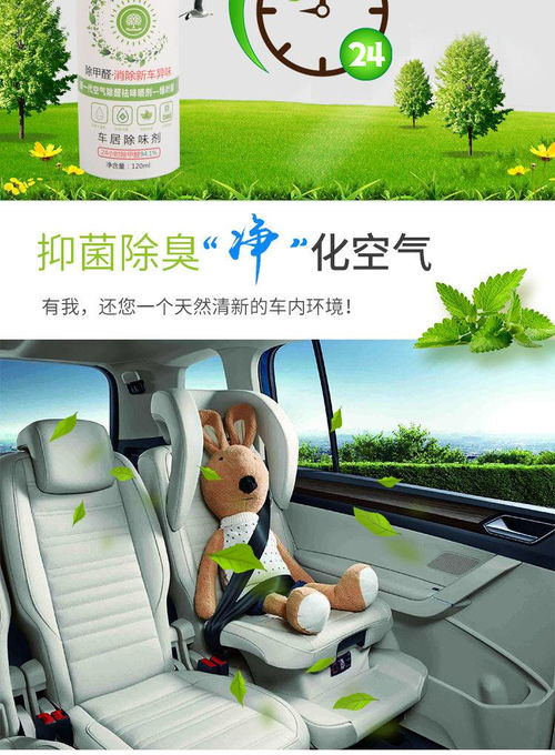 车载空气清新不求人 一文看懂各类除味剂如何选择